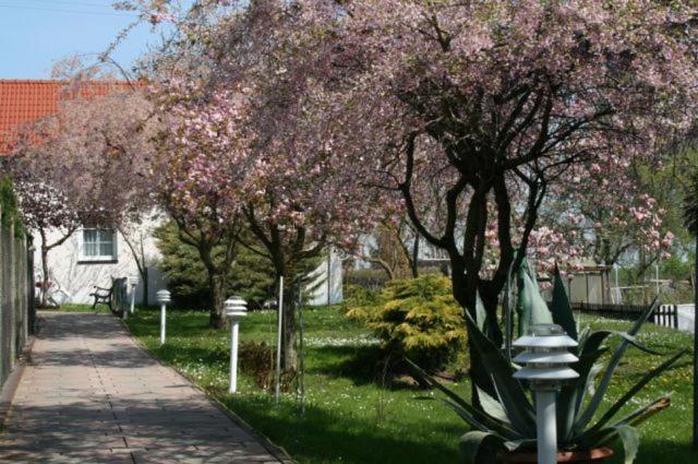 Familienhotel Zur Linde Panschwitz-Kuckau Luaran gambar